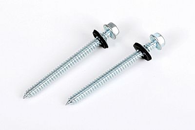 Self tapping screw